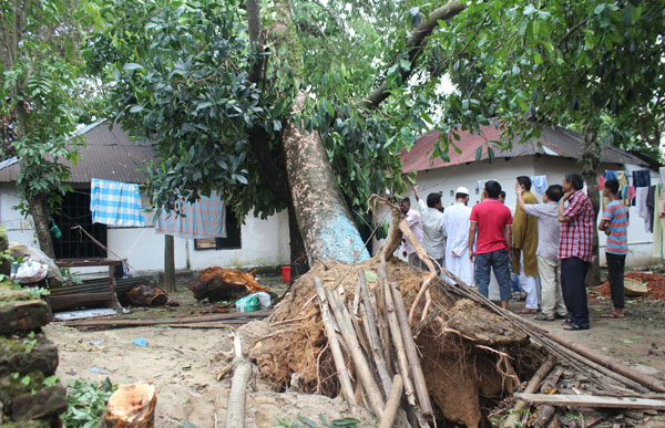 সিলেটে কালবৈশাখী ঝড়ে বিদ্যুৎ বিপর্যয়