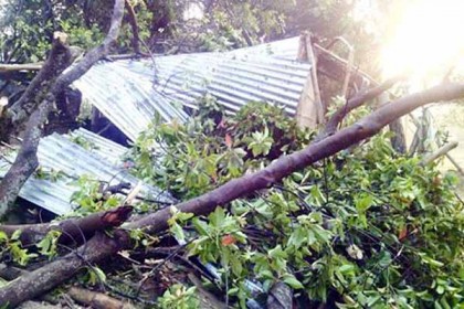 
কালবৈশাখীর তাণ্ডবে লণ্ডভণ্ড বিশ্বনাথ
  
