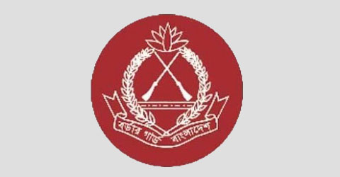 জনবল নেবে বিজিবি
