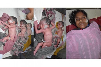 বিয়ের ১২ বছর পর একসঙ্গে পাঁচ সন্তানের মা হলেন আরজিনা 