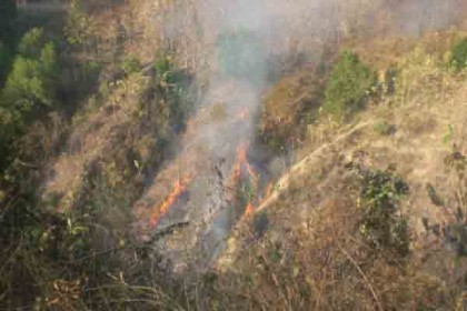 লামায় পাহাড়ে আগুন, হুমকির মুখে জীববৈচিত্র্য

