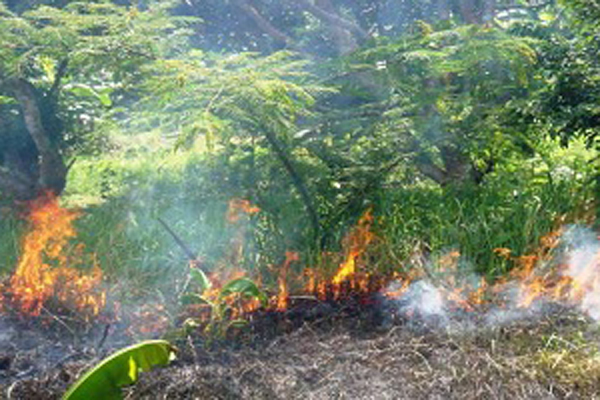 টহল ফাঁড়ি কর্মকর্তাসহ তিনজন সাময়িক বরখাস্ত
