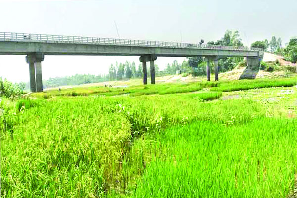 বগুড়ায় হাঁটুজলের নদ-নদী