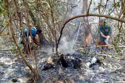 ৩১ ঘণ্টা ধরে জ্বলছে সুন্দরবন 