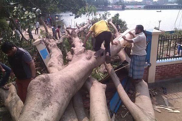 ঝড়ে ১৬ ঘন্টা বিদ্যুৎহীন কুমিল্লা, গাছ চাপায় বৃদ্ধ নিহত 