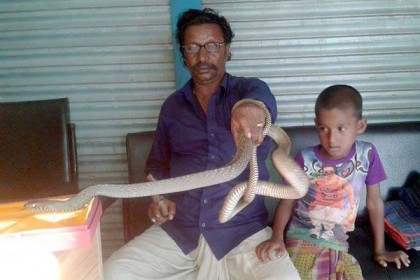 সিলেটের সর্পবন্ধু ইব্রাহিম আলী