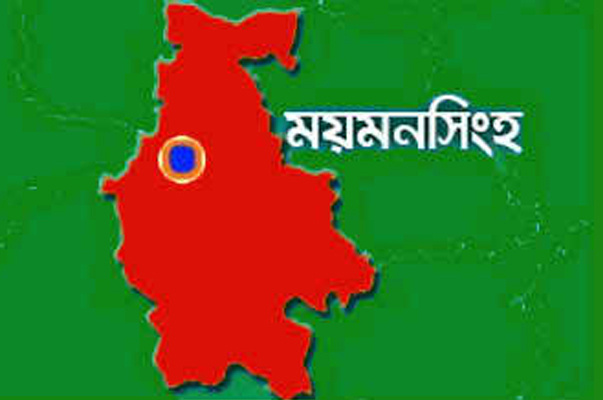 ভালুকায় বিদ্যুৎস্পৃষ্টে যুবকের মৃত্যু
