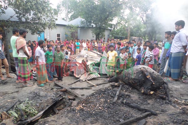 সিরাজগঞ্জে ৪ গরু আগুনে পুড়ে ছাঁই