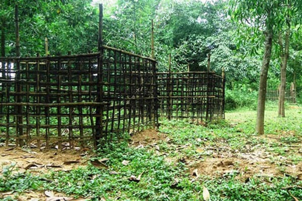 কবরস্থান থেকে ৫টি কংকাল চুরি
