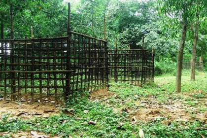 কবরস্থান থেকে ৫টি কংকাল চুরি
