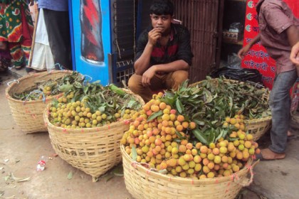 লিচুর ঘ্রানে মৌ মৌ করছে পাহাড়