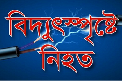 বরিশালে বিদ্যুৎস্পৃষ্টে পুলিশ কনস্টেবলের মৃত্যু