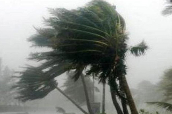 ঝিনাইদহে কালবৈশাখী ঝড়ে কলেজছাত্র নিহত
