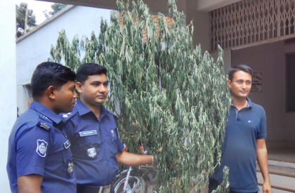 ফুলবাড়ীতে পৃথক অভিযানে মাদকসহ আটক ২