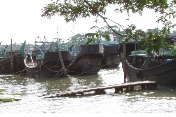 ৬৫ দিন বঙ্গোপসাগরে মাছ ধরা নিষেধ 