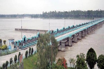 তিস্তায় পানি বৃদ্ধি, চরাঞ্চল প্লাবিত