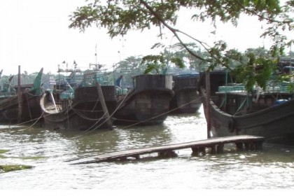 ৬৫ দিন বঙ্গোপসাগরে মাছ ধরা নিষেধ 