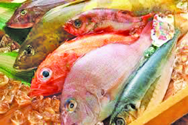 সমুদ্রে ৬৫ দিন মাছ ধরতে নিষেধাজ্ঞা