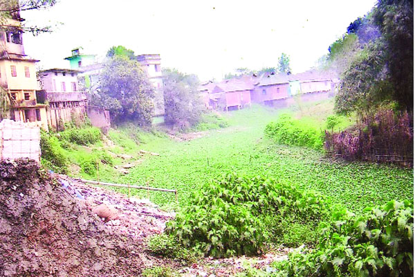 নদীর বুকে ঘরবাড়ি