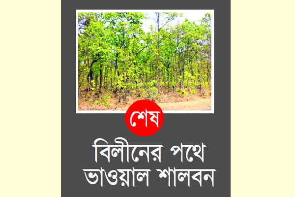 বিলুপ্তির পথে বন্যপ্রাণী