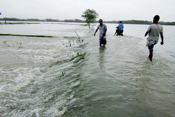 পটুয়াখালীতে পানির নিচে রবি ফসল-মাছের ঘের
