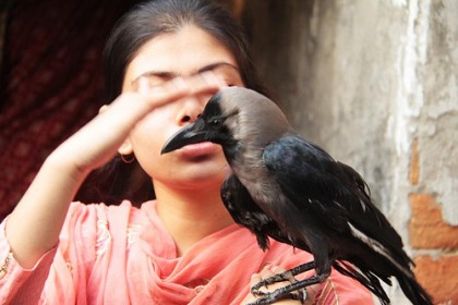 কাকও কথা বলে!