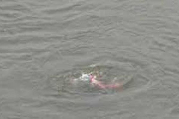 পানিতে ডুবে একই পরিবারের ৩ শিশুর মৃত্যু