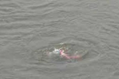পানিতে ডুবে একই পরিবারের ৩ শিশুর মৃত্যু