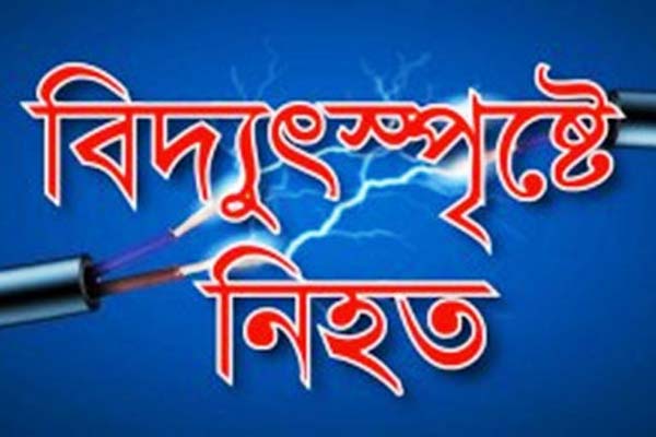 চুয়াডাঙ্গায় বিদ্যুৎস্পৃষ্টে শিশুর মৃত্যু