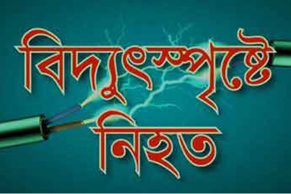 মুন্সীগঞ্জে বিদ্যুৎস্পৃষ্টে নিহত ১, আহত ১ 