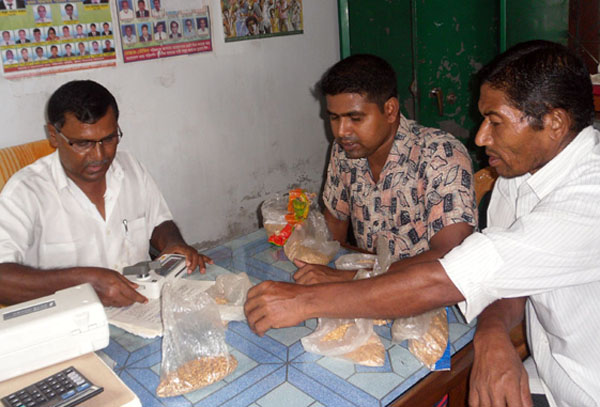 প্রতি কেজি ২৩ টাকা দরে ধান কিনছে সরকার