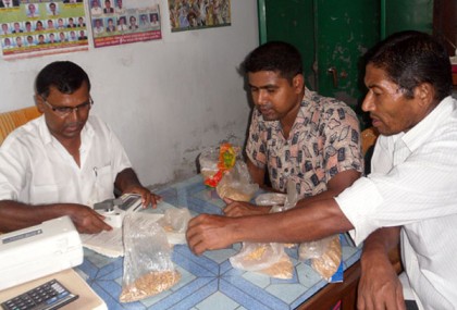 প্রতি কেজি ২৩ টাকা দরে ধান কিনছে সরকার