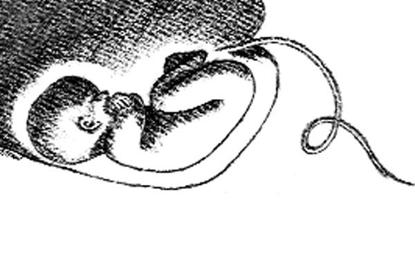 আঁতুড়ঘর