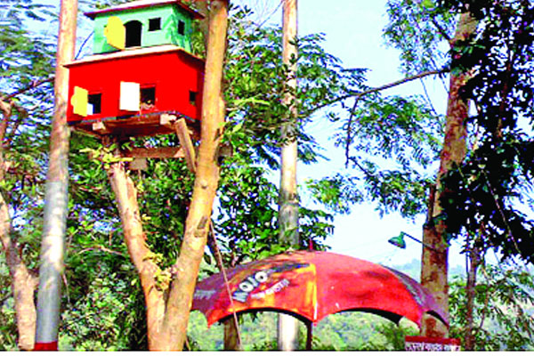 পাহাড়ে পাখির দ্বিতল বাড়ি