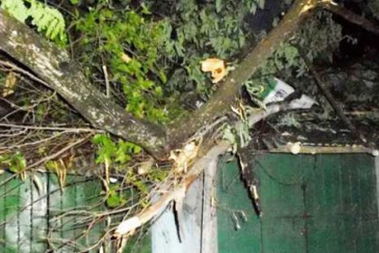 পটুয়াখালীতে ঝড়ে গাছ চাপা পড়ে ২ নারীর মৃত্যু