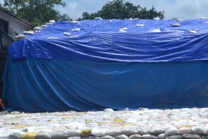 ঠাকুরগাঁওয়ে খোলা আকাশের নিচে নষ্ট হচ্ছে সার