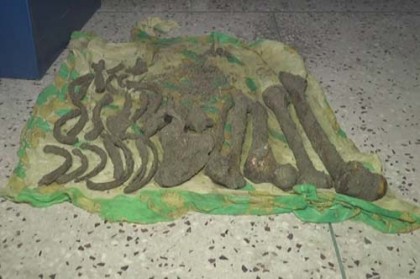 কুষ্টিয়ায় নিখোঁজ বিএনপি নেতার কংকাল উদ্ধার