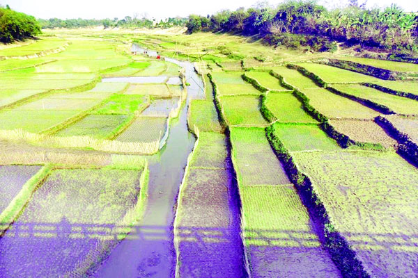 চুয়াডাঙ্গার পাঁচ নদী বিলীন দশায়