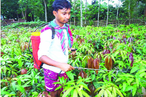 পাহাড়ে নার্সারি  করে স্বাবলম্বী