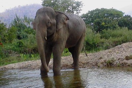 মরলে ১ লাখ, আঘাতে ২৫ হাজার