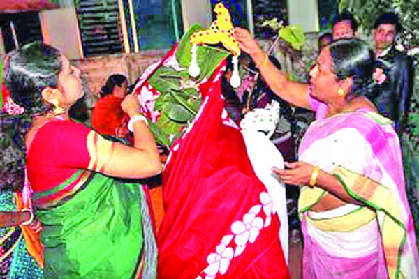 বট-পাকুড়ের ধুমধাম বিয়ে