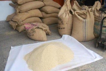 ঈদে নীলফামারীতে ভিজিএফ’র চাল পাচ্ছেন ৪ লাখ পরিবার 