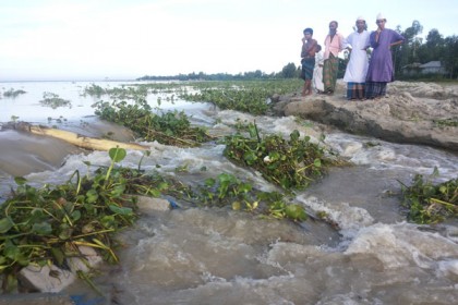 সিরাজগঞ্জে যমুনার তীর সংরক্ষণ বাঁধে ধস
