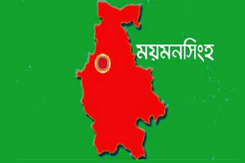 নাজনীনের প্রার্থীতা প্রত্যাহার, টিকে গেলেন সেলিমা