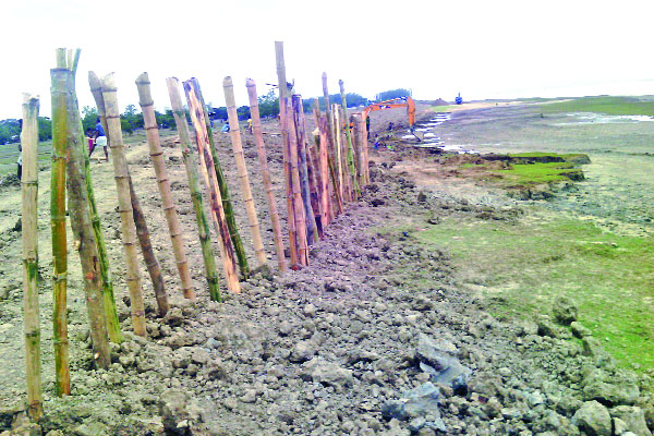 এবার বাঁশ দিয়ে বেড়িবাঁধ নির্মাণ