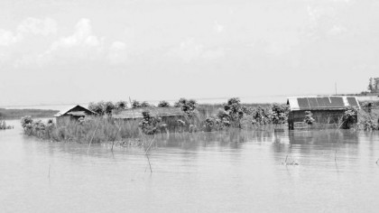 ঠেকানো যাচ্ছে না লালমনিরহাটে ধরলার ভাঙ্গন