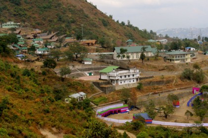 নাগাল্যান্ডে নিষিদ্ধ হতে পারে কুকুরের মাংস
