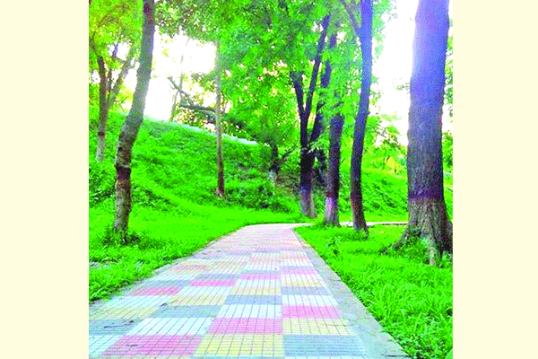 পদ্মা আর সবুজের মেলবন্ধন