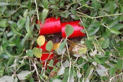 ঝিনাইদহে ৩টি হাতবোমা উদ্ধার
