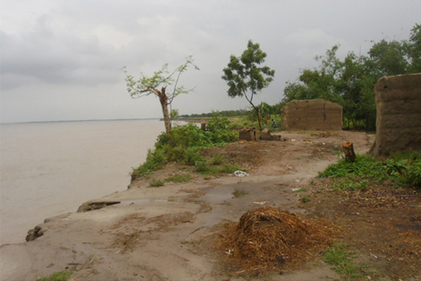 চাঁপাইনবাবগঞ্জের ৩ ইউনিয়নে পদ্মার ভাঙন